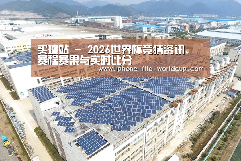 案例展示一