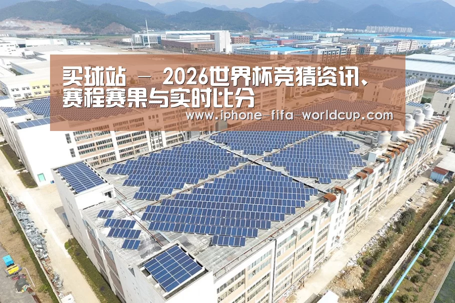 案例展示三