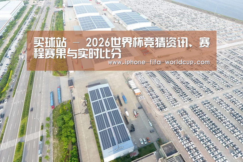 案例展示一