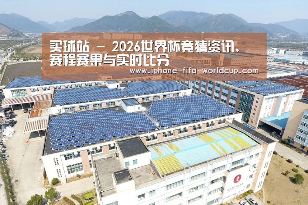 案例展示三
