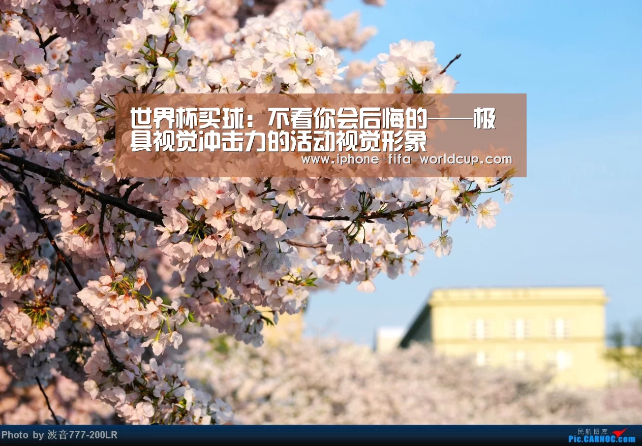 世界杯买球